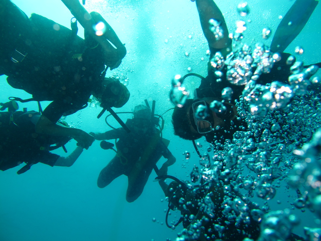 OPEN WATER DIVER Course by Spruzzo
