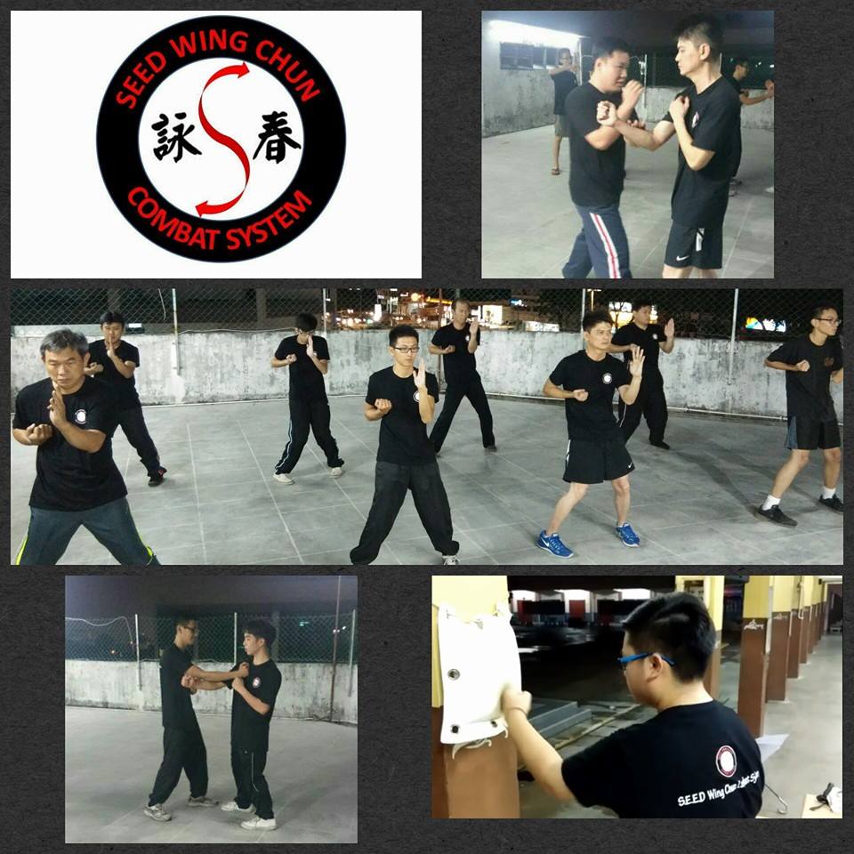SEED Wing Chun Combat System (Kuantan) by SEED wing chun combat system